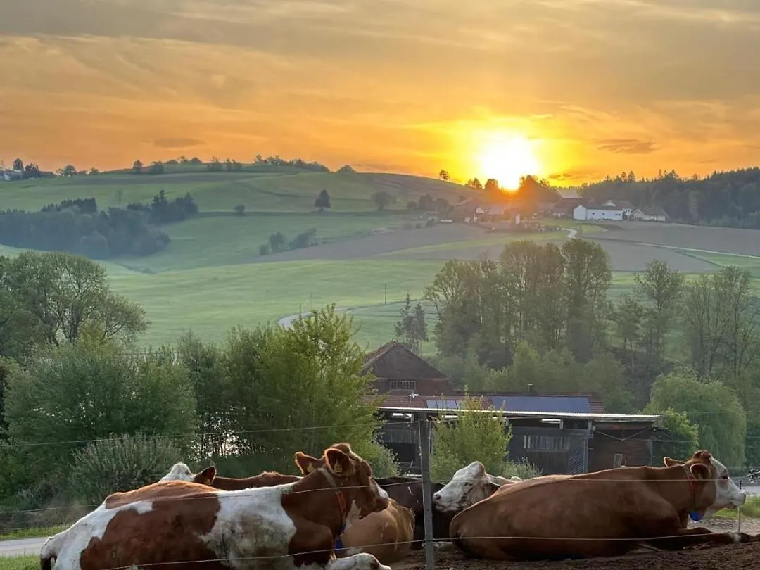 Bed and Breakfast Voeltl-Hof Büchlberg Frühstückspension